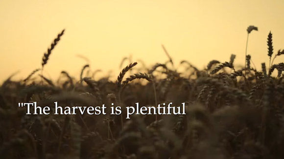 Take the risk for Christ - watch this video Take the risk for Christ - watch this video