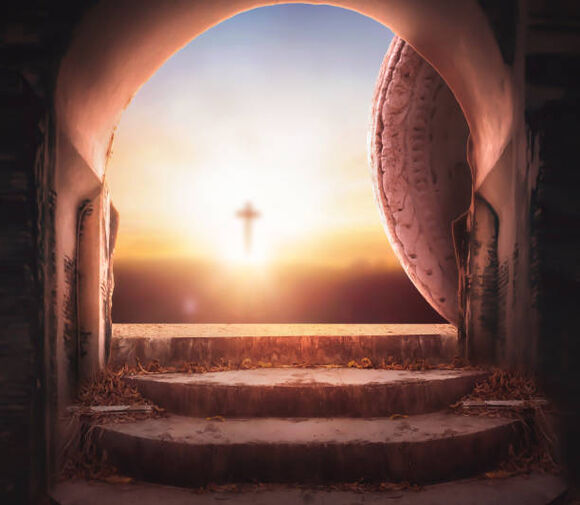 A Human Heart A Human Heart